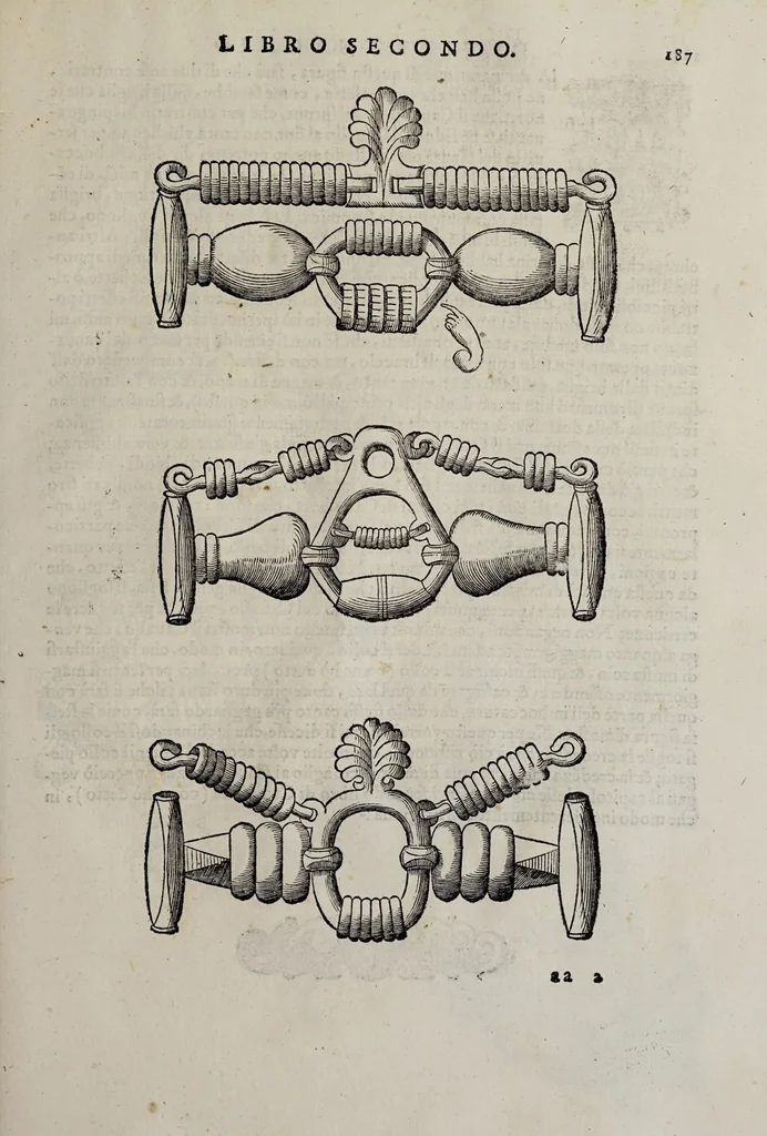 An illustration from Cauallo frenato, 1602, leaf 363