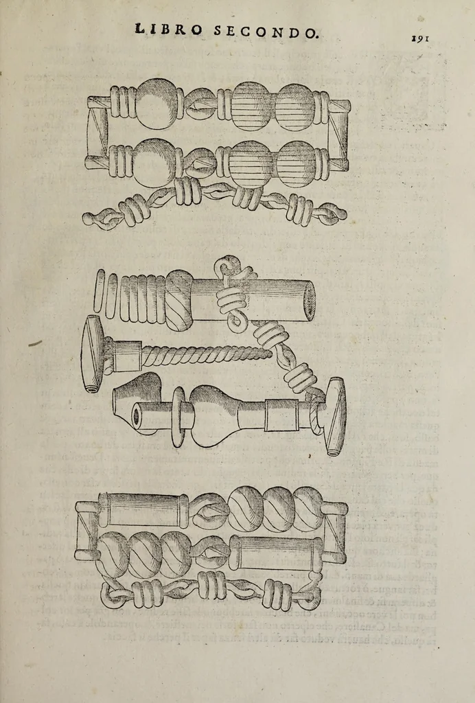An illustration from Cauallo frenato, 1602, leaf 367