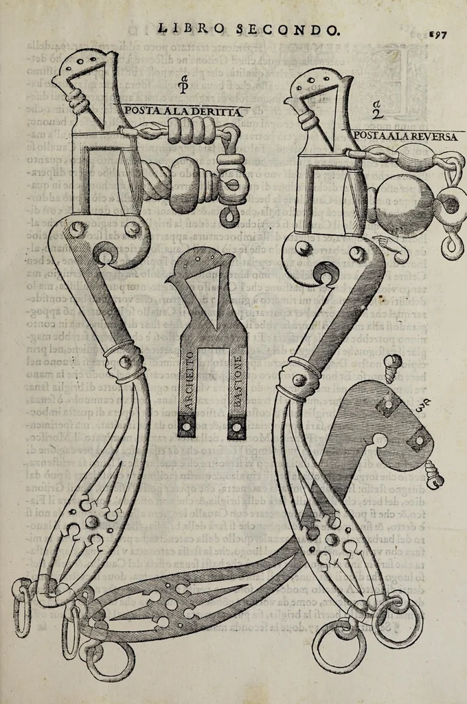 An illustration from Cauallo frenato, 1602, leaf 373