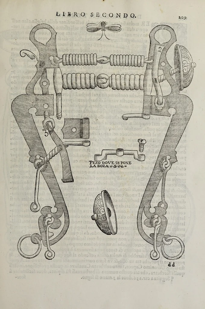 An illustration from Cauallo frenato, 1602, leaf 385