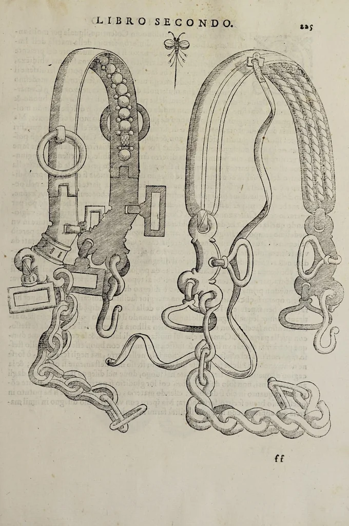 An illustration from Cauallo frenato, 1602, leaf 401