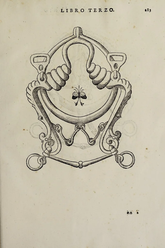 An illustration from Cauallo frenato, 1602, leaf 459