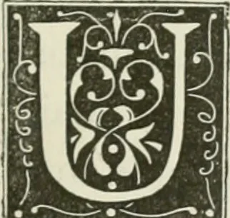 An illustration from Causeries sur l'art et la curiosité, 1878, leaf 174