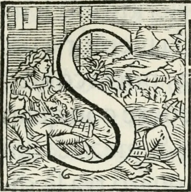 An illustration from Cavalerie della citta di Ferrara : che contengono il Castello di Gorgofervsa, il Monte di Feronia et il Tempio d'amore, 1566, leaf 138