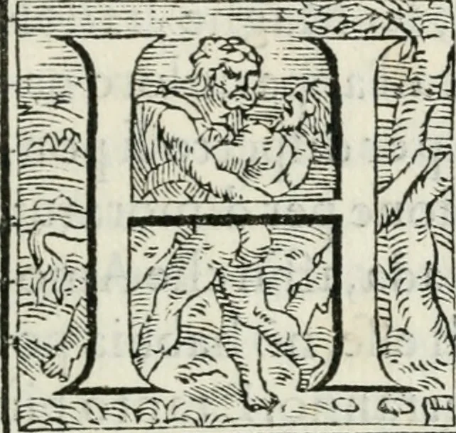 An illustration from Cavalerie della citta di Ferrara : che contengono il Castello di Gorgofervsa, il Monte di Feronia et il Tempio d'amore, 1566, leaf 144