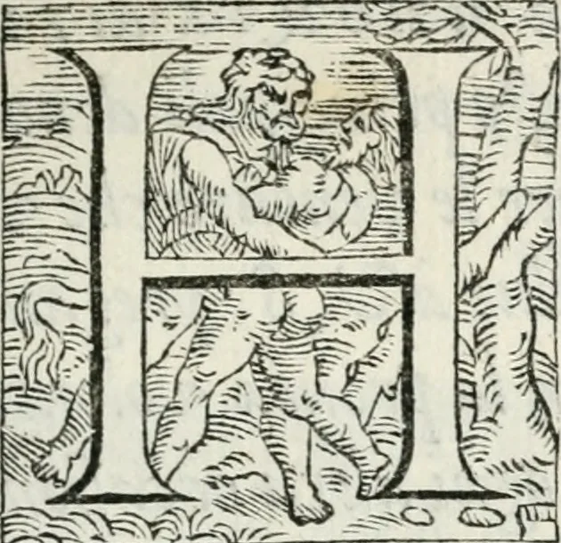 An illustration from Cavalerie della citta di Ferrara : che contengono il Castello di Gorgofervsa, il Monte di Feronia et il Tempio d'amore, 1566, leaf 28