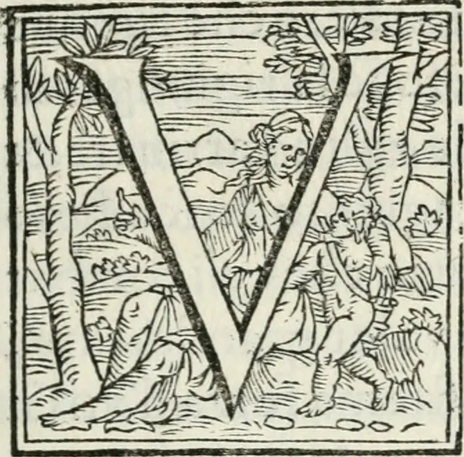 An illustration from Cavalerie della citta di Ferrara : che contengono il Castello di Gorgofervsa, il Monte di Feronia et il Tempio d'amore, 1566, leaf 30