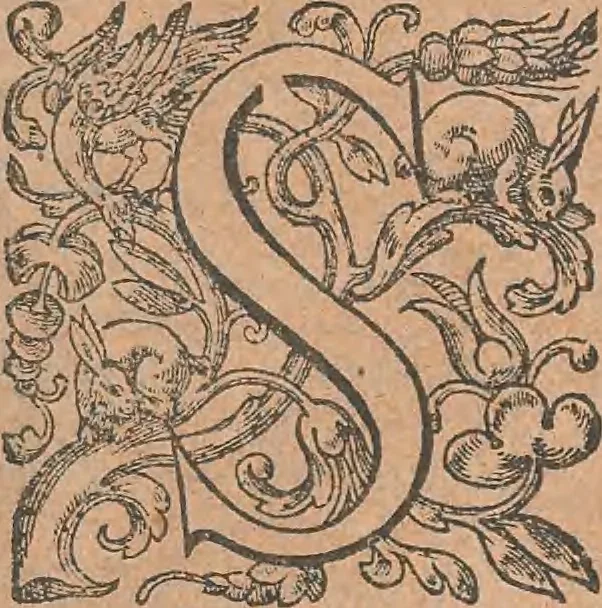 An illustration from La cavalerie françoise et italienne, ou, L'art de bien dresser les chevaux, selon les preceptes des bonnes écoles des deux nations : tant pour le plaisir de la carriere, et des carozels que pour le service de la guerre, 1620, leaf 10