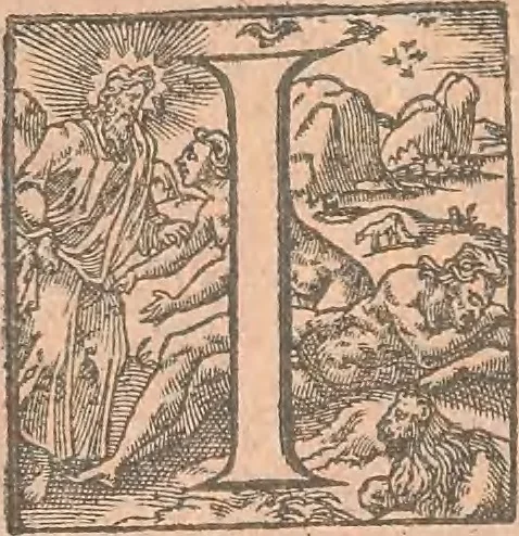An illustration from La cavalerie françoise et italienne, ou, L'art de bien dresser les chevaux, selon les preceptes des bonnes écoles des deux nations : tant pour le plaisir de la carriere, et des carozels que pour le service de la guerre, 1620, leaf 109