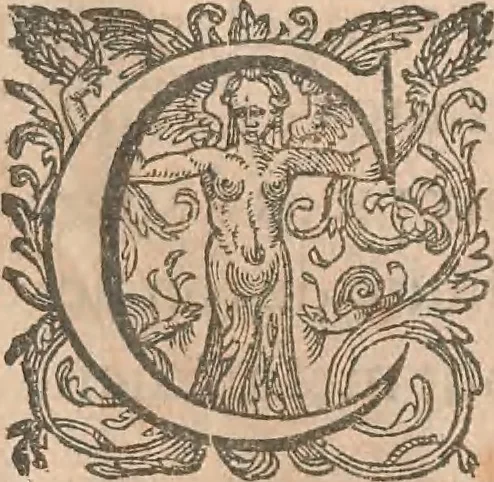 An illustration from La cavalerie françoise et italienne, ou, L'art de bien dresser les chevaux, selon les preceptes des bonnes écoles des deux nations : tant pour le plaisir de la carriere, et des carozels que pour le service de la guerre, 1620, leaf 12