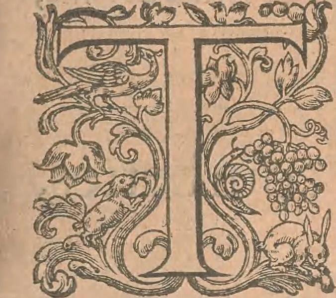 An illustration from La cavalerie françoise et italienne, ou, L'art de bien dresser les chevaux, selon les preceptes des bonnes écoles des deux nations : tant pour le plaisir de la carriere, et des carozels que pour le service de la guerre, 1620, leaf 120