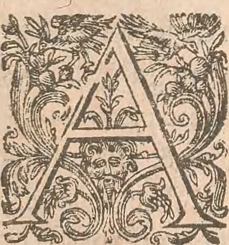 An illustration from La cavalerie françoise et italienne, ou, L'art de bien dresser les chevaux, selon les preceptes des bonnes écoles des deux nations : tant pour le plaisir de la carriere, et des carozels que pour le service de la guerre, 1620, leaf 123
