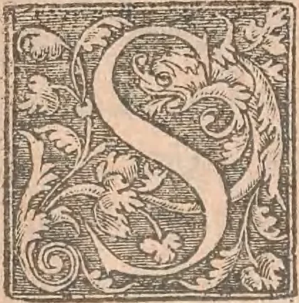 An illustration from La cavalerie françoise et italienne, ou, L'art de bien dresser les chevaux, selon les preceptes des bonnes écoles des deux nations : tant pour le plaisir de la carriere, et des carozels que pour le service de la guerre, 1620, leaf 137
