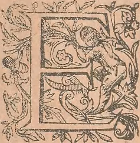 An illustration from La cavalerie françoise et italienne, ou, L'art de bien dresser les chevaux, selon les preceptes des bonnes écoles des deux nations : tant pour le plaisir de la carriere, et des carozels que pour le service de la guerre, 1620, leaf 143