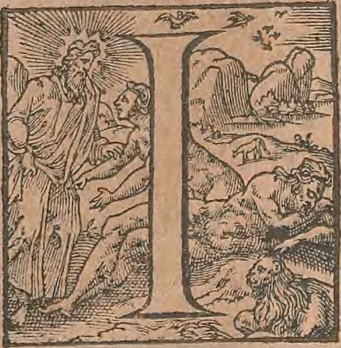 An illustration from La cavalerie françoise et italienne, ou, L'art de bien dresser les chevaux, selon les preceptes des bonnes écoles des deux nations : tant pour le plaisir de la carriere, et des carozels que pour le service de la guerre, 1620, leaf 150