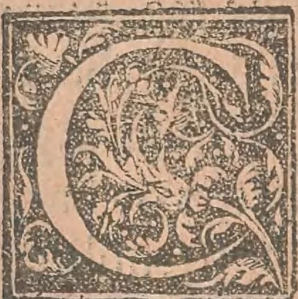An illustration from La cavalerie françoise et italienne, ou, L'art de bien dresser les chevaux, selon les preceptes des bonnes écoles des deux nations : tant pour le plaisir de la carriere, et des carozels que pour le service de la guerre, 1620, leaf 159