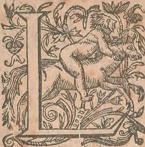An illustration from La cavalerie françoise et italienne, ou, L'art de bien dresser les chevaux, selon les preceptes des bonnes écoles des deux nations : tant pour le plaisir de la carriere, et des carozels que pour le service de la guerre, 1620, leaf 169