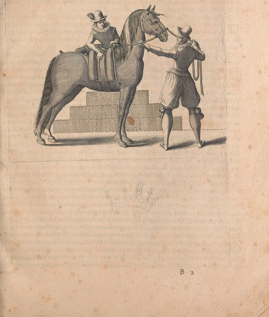 An illustration from La cavalerie françoise et italienne, ou, L'art de bien dresser les chevaux, selon les preceptes des bonnes écoles des deux nations : tant pour le plaisir de la carriere, et des carozels que pour le service de la guerre, 1620, leaf 20