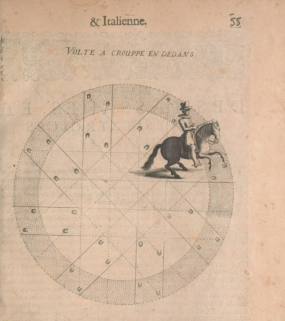 An illustration from La cavalerie françoise et italienne, ou, L'art de bien dresser les chevaux, selon les preceptes des bonnes écoles des deux nations : tant pour le plaisir de la carriere, et des carozels que pour le service de la guerre, 1620, leaf 64