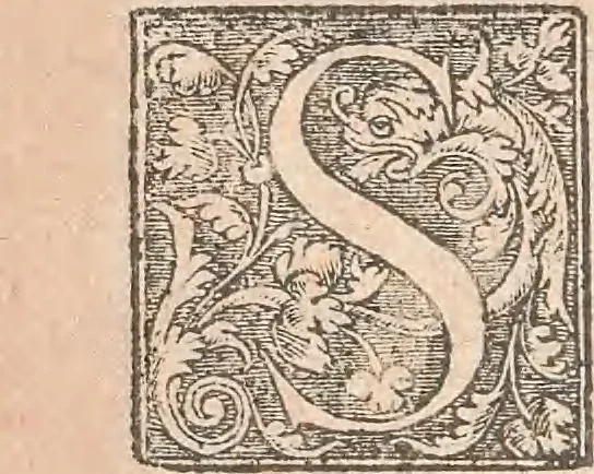 An illustration from La cavalerie françoise et italienne, ou, L'art de bien dresser les chevaux, selon les preceptes des bonnes écoles des deux nations : tant pour le plaisir de la carriere, et des carozels que pour le service de la guerre, 1620, leaf 65
