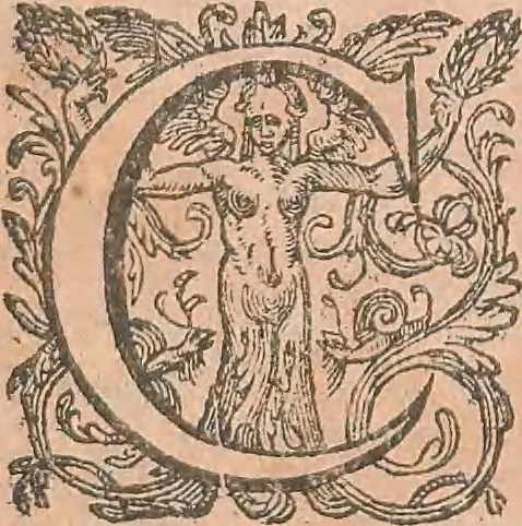 An illustration from La cavalerie françoise et italienne, ou, L'art de bien dresser les chevaux, selon les preceptes des bonnes écoles des deux nations : tant pour le plaisir de la carriere, et des carozels que pour le service de la guerre, 1620, leaf 89