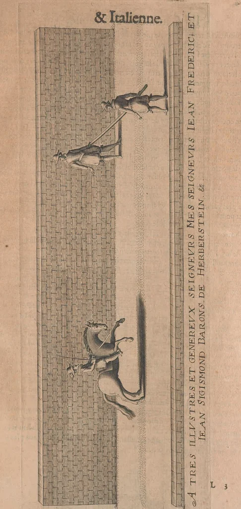 An illustration from La cavalerie françoise et italienne, ou, L'art de bien dresser les chevaux, selon les preceptes des bonnes écoles des deux nations : tant pour le plaisir de la carriere, et des carozels que pour le service de la guerre, 1620, leaf 94