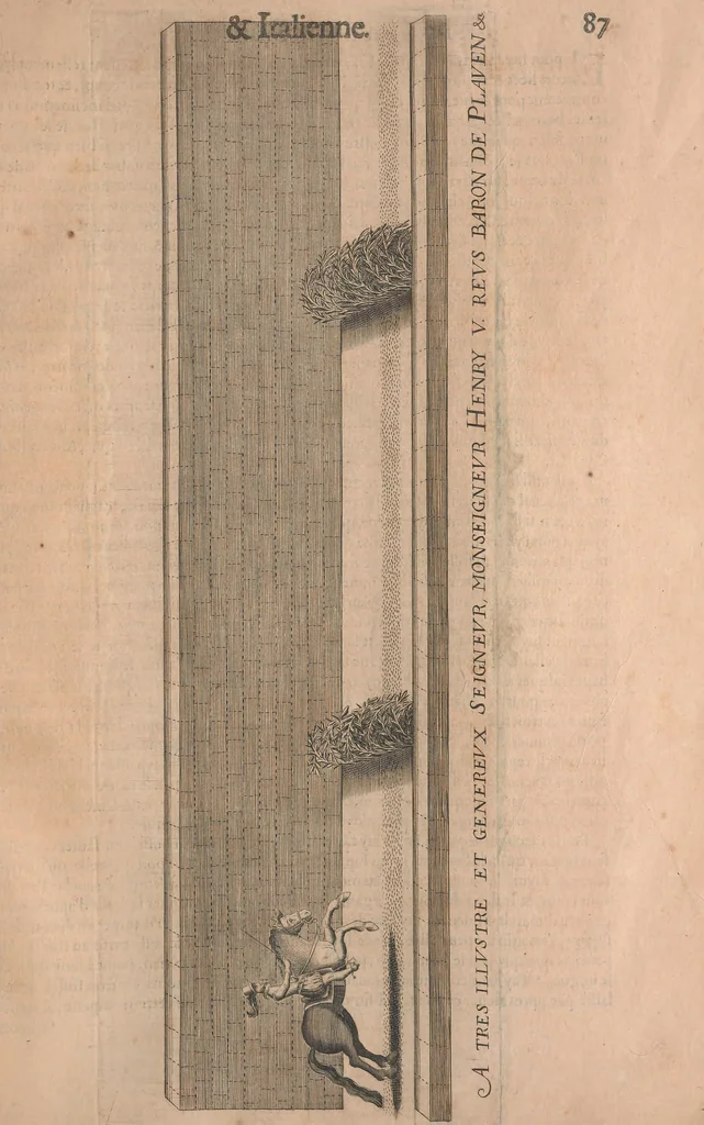 An illustration from La cavalerie françoise et italienne, ou, L'art de bien dresser les chevaux, selon les preceptes des bonnes écoles des deux nations : tant pour le plaisir de la carriere, et des carozels que pour le service de la guerre, 1620, leaf 96