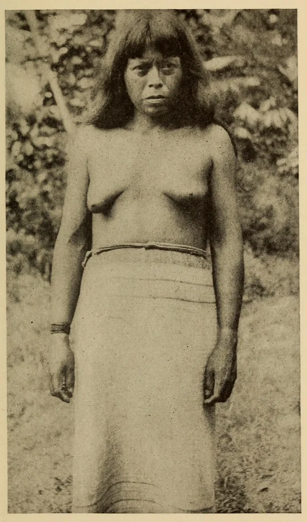 An illustration from The Cayapa Indians of Ecuador, 1925, leaf 111