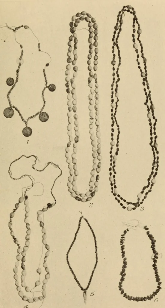 An illustration from The Cayapa Indians of Ecuador, 1925, leaf 153