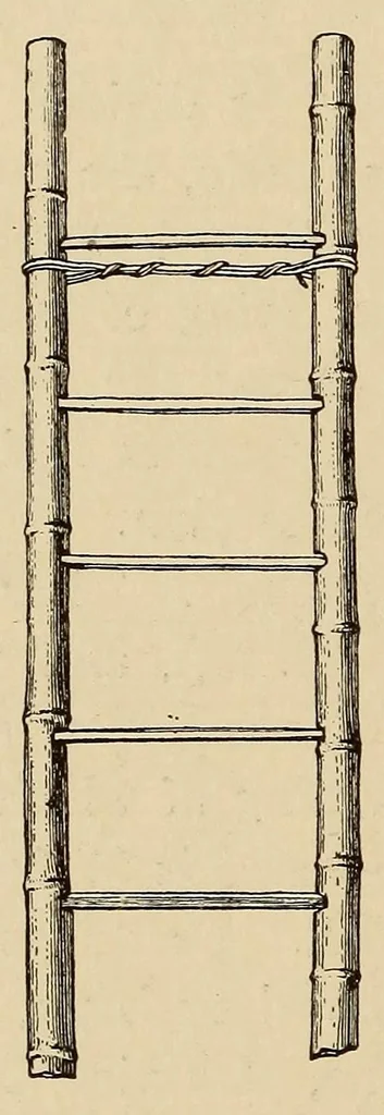 An illustration from The Cayapa Indians of Ecuador, 1925, leaf 72