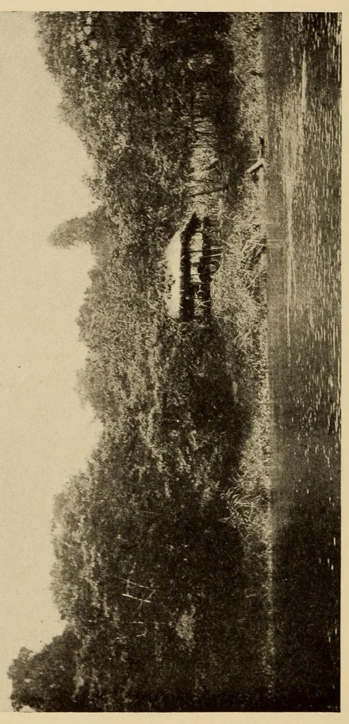 An illustration from The Cayapa Indians of Ecuador, 1925, leaf 82
