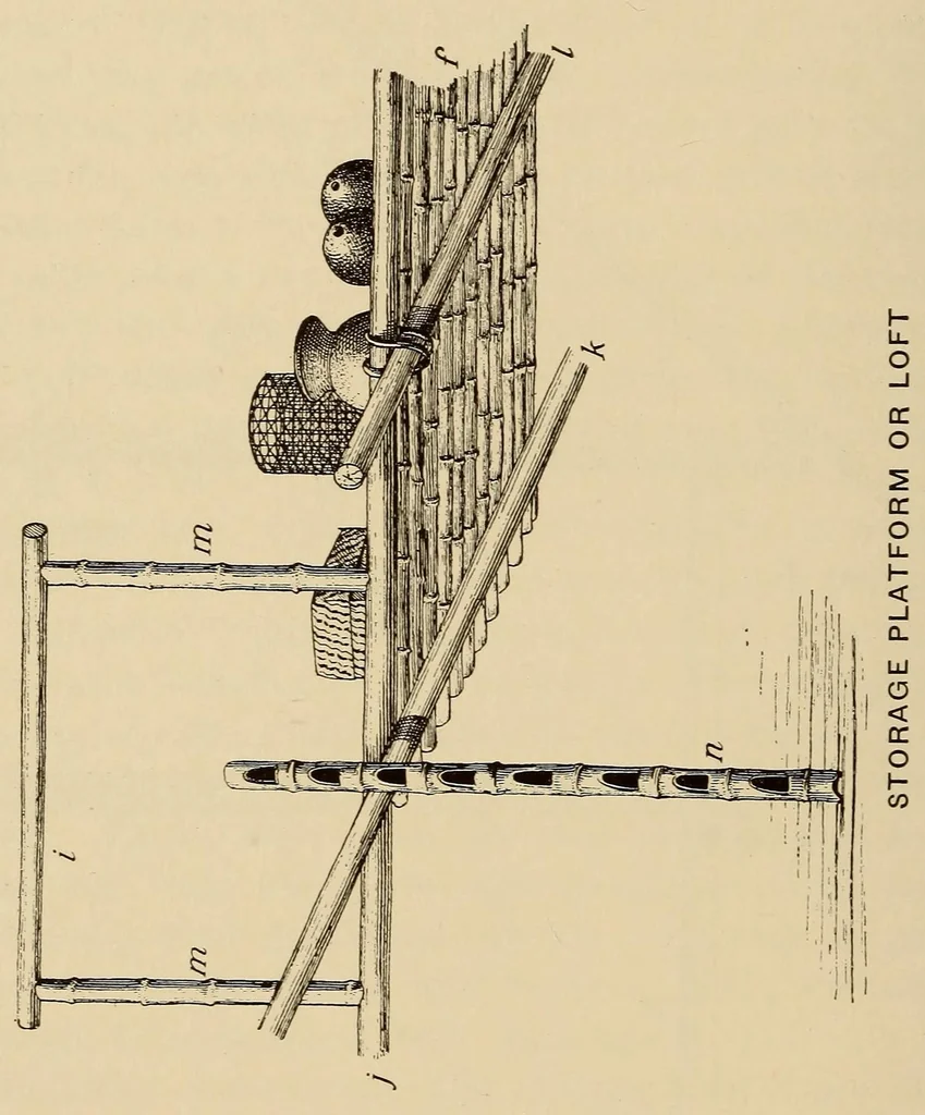 An illustration from The Cayapa Indians of Ecuador, 1925, leaf 98