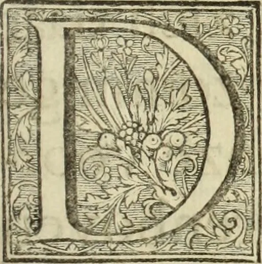An illustration from C. Cornelius Tacitus. Jaarboeken en Historien, ook zyn Germanie, 1684, leaf 10