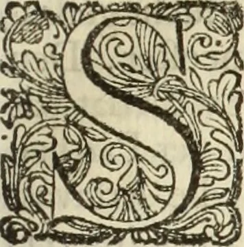 An illustration from C. Cornelius Tacitus. Jaarboeken en Historien, ook zyn Germanie, 1684, leaf 116