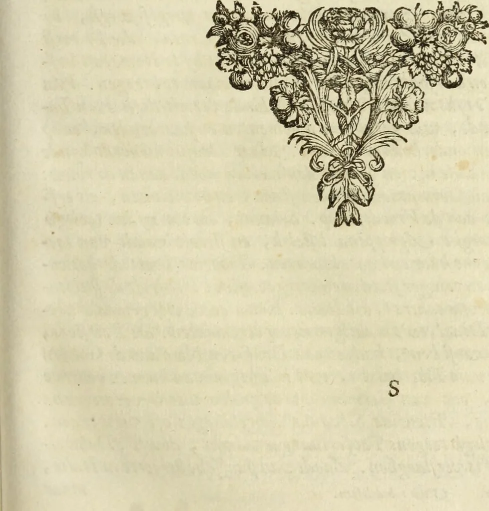 An illustration from C. Cornelius Tacitus. Jaarboeken en Historien, ook zyn Germanie, 1684, leaf 204