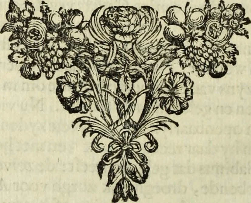 An illustration from C. Cornelius Tacitus. Jaarboeken en Historien, ook zyn Germanie, 1684, leaf 257