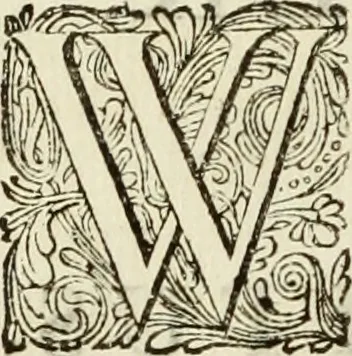 An illustration from C. Cornelius Tacitus. Jaarboeken en Historien, ook zyn Germanie, 1684, leaf 295
