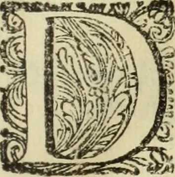 An illustration from C. Cornelius Tacitus. Jaarboeken en Historien, ook zyn Germanie, 1684, leaf 36