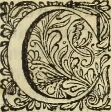An illustration from C. Cornelius Tacitus. Jaarboeken en Historien, ook zyn Germanie, 1684, leaf 388
