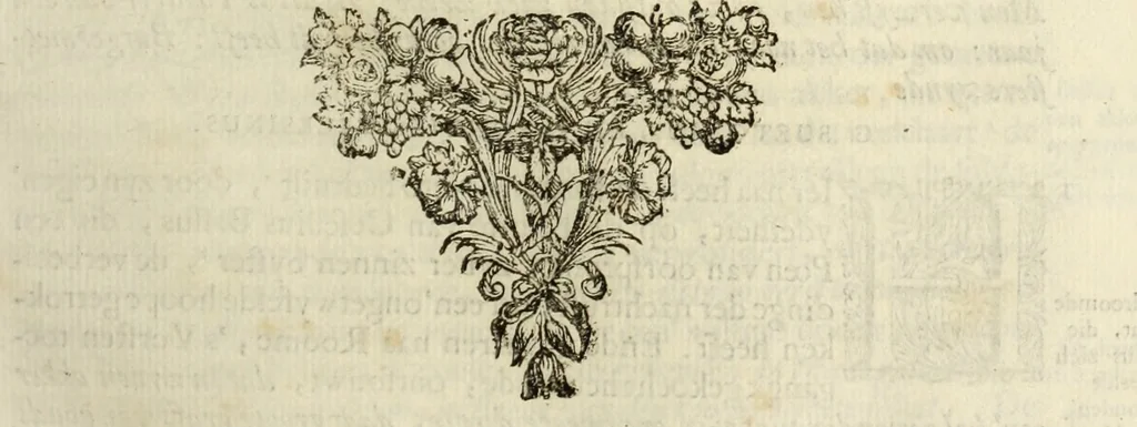 An illustration from C. Cornelius Tacitus. Jaarboeken en Historien, ook zyn Germanie, 1684, leaf 466