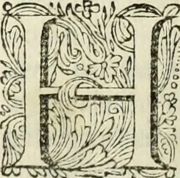 An illustration from C. Cornelius Tacitus. Jaarboeken en Historien, ook zyn Germanie, 1684, leaf 467