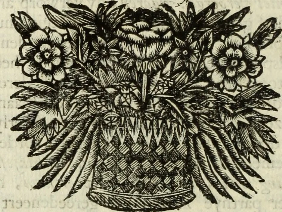 An illustration from C. Cornelius Tacitus. Jaarboeken en Historien, ook zyn Germanie, 1684, leaf 547