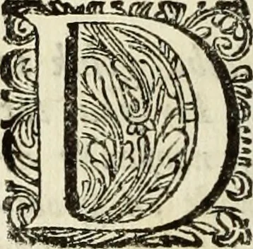 An illustration from C. Cornelius Tacitus. Jaarboeken en Historien, ook zyn Germanie, 1684, leaf 549