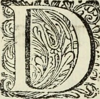 An illustration from C. Cornelius Tacitus. Jaarboeken en Historien, ook zyn Germanie, 1684, leaf 65