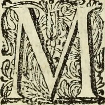 An illustration from C. Cornelius Tacitus. Jaarboeken en Historien, ook zyn Germanie, 1684, leaf 663