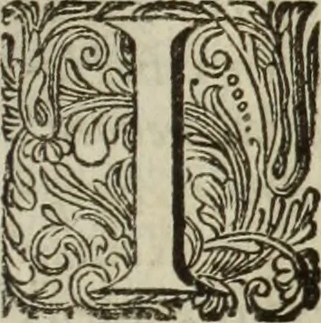 An illustration from C. Cornelius Tacitus. Jaarboeken en Historien, ook zyn Germanie, 1684, leaf 734