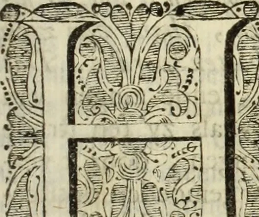 An illustration from C. Cornelius Tacitus. Jaarboeken en Historien, ook zyn Germanie, 1684, leaf 756