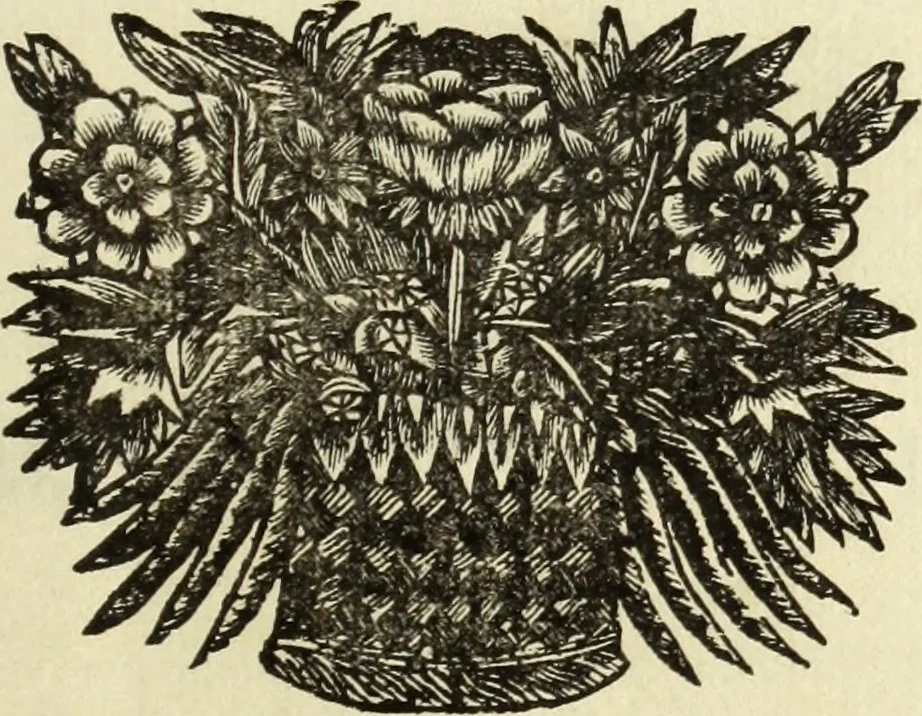 An illustration from C. Cornelius Tacitus. Jaarboeken en Historien, ook zyn Germanie, 1684, leaf 784