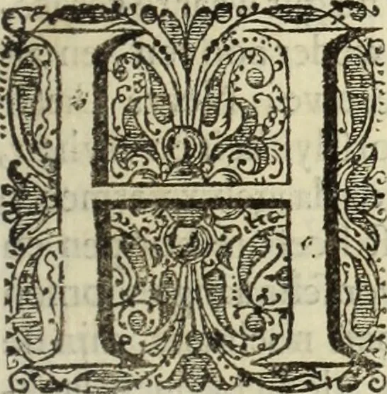 An illustration from C. Cornelius Tacitus. Jaarboeken en Historien, ook zyn Germanie, 1684, leaf 788