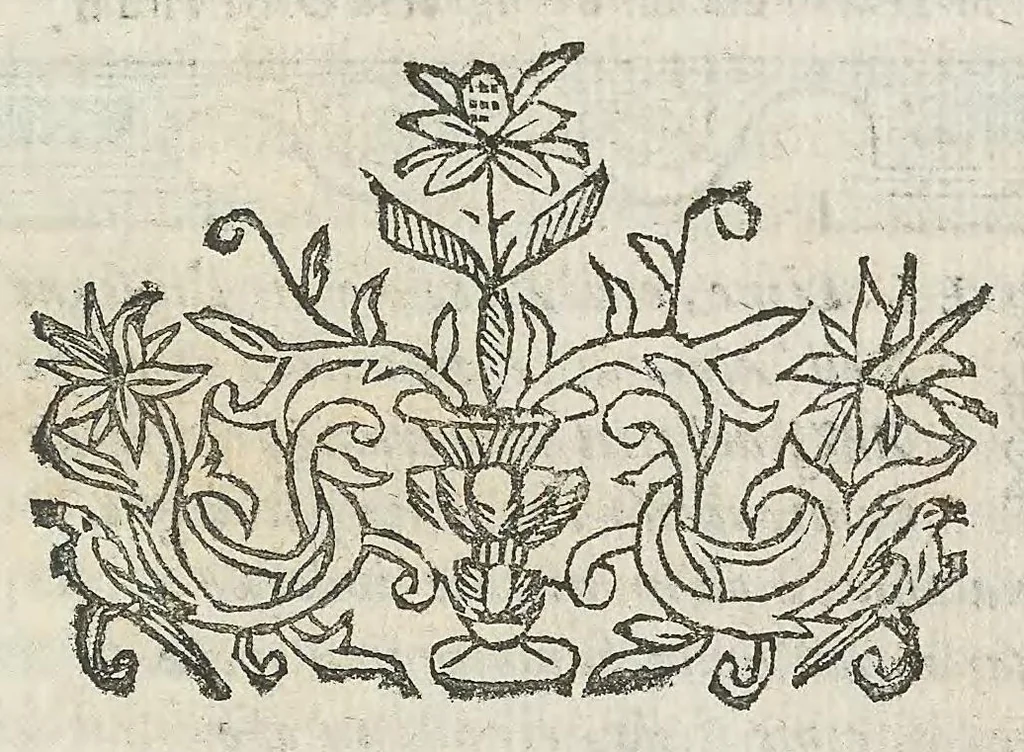 An illustration from Cefalogia fisonomica diuisa in dieci deche : doue conforme à'documenti d'Aristotile, e d'altri filosofi naturali, con breui discorsi, e diligenti osseruationi si esaminano le fisonomie : di cento teste humane che intagliate si vedono in quest' opera : dalle quali per più segni e congetture si dimostrano varie inclinationi di huomini e don̄e, 1630, leaf 109